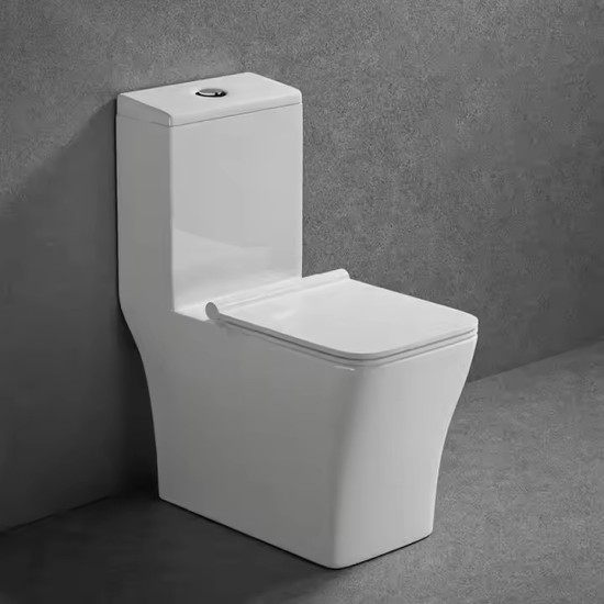 Solovia Square one piece washdown rimless flush sanitary ware modern toilet bowl bathroom ceramic wc toilet commode