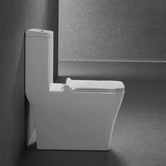 Solovia Square one piece washdown rimless flush sanitary ware modern toilet bowl bathroom ceramic wc toilet commode